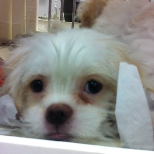 Har Mar Pet Shop Pet Supplies Store in Roseville