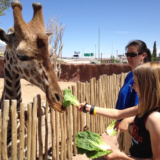 Photo prise au El Paso Zoo par Goldie A. le4/28/2012