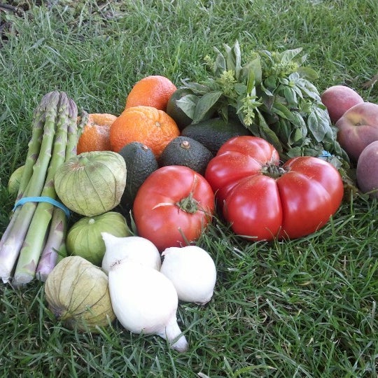 Templeton Farmers' Market 6th St. & Crocker