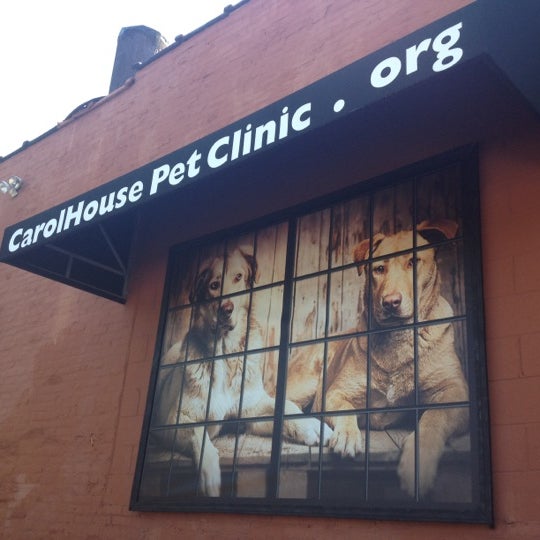 carol house quick fix pet