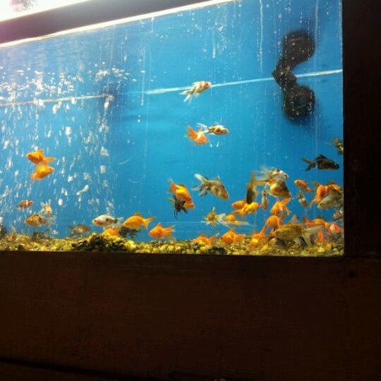 Photos at Pet World Warehouse Pet Store in West Allis