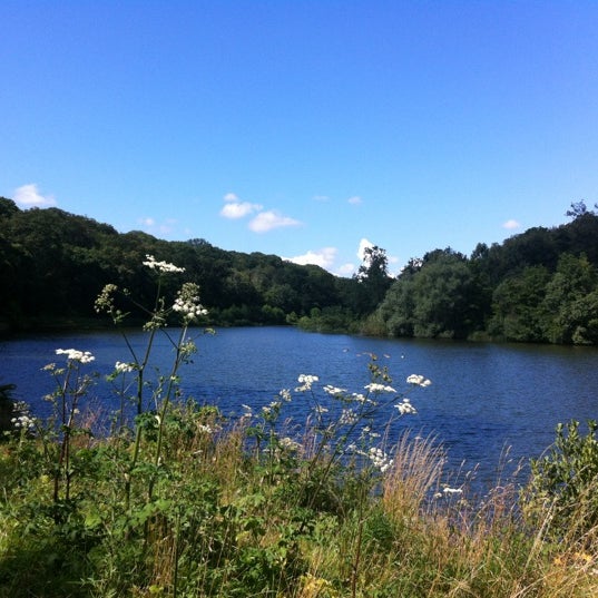 Étangs de la Minière Trail