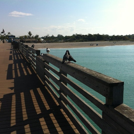Venice Fishing Pier Pier in Venice