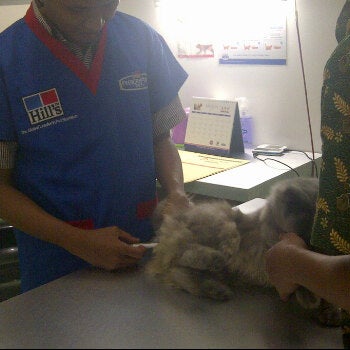 pet derm clinic bsd
