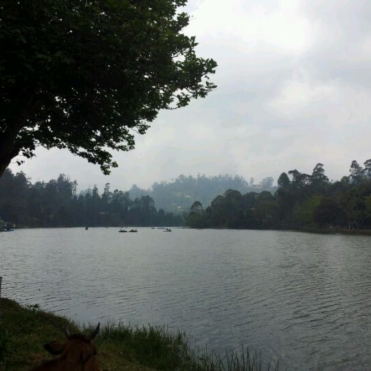 3/4/2012 tarihinde Shiva N.ziyaretçi tarafından Kodai Lake'de çekilen fotoğraf
