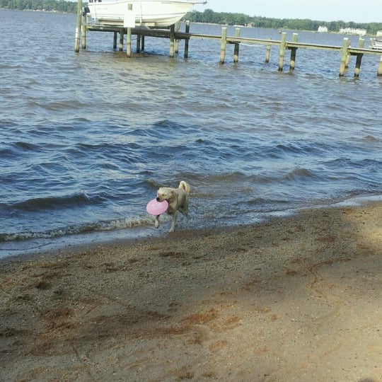 Flying Point Park 5 tips