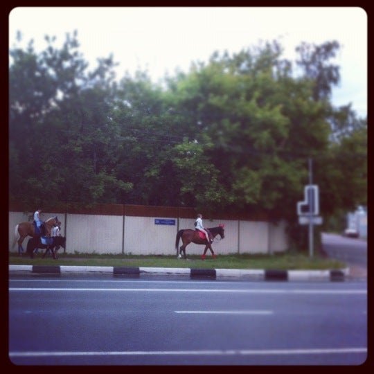 Мамоново Одинцовский Район Купить