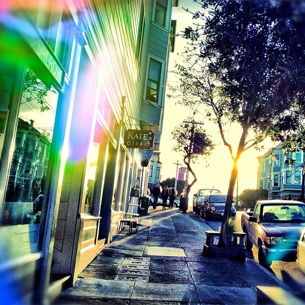 Fairy Lake Aquarium Pet Supplies Store in Inner Richmond