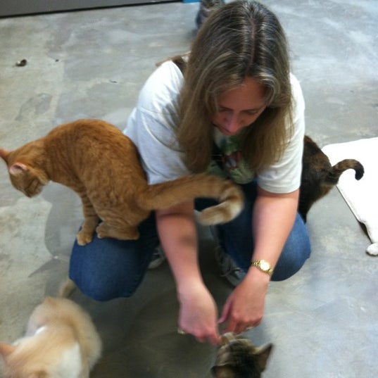 Photo taken at Friends For Life No Kill Animal Adoption &amp; Rescue Shelter by Joe M. on 7/20/2012