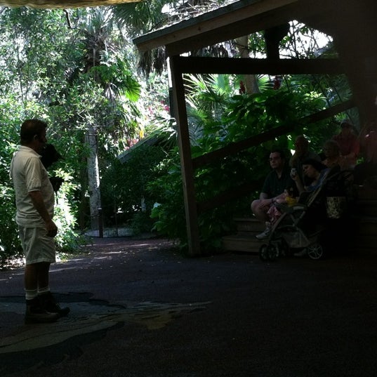 Bird of Prey at Flamingo Gardens - Other Great Outdoors