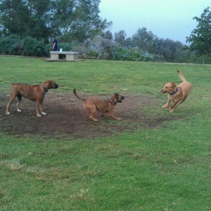 Scripps Ranch Parks Scripps Ranch Dog Park - Scripps Ranch - Meanley Dr