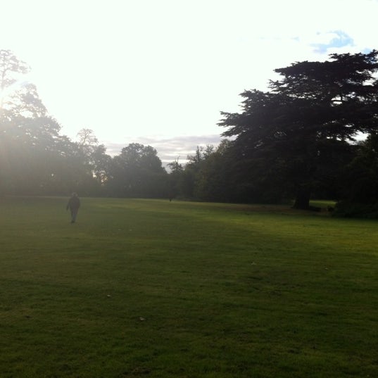 Photos At Laleham Park 83 Visitors