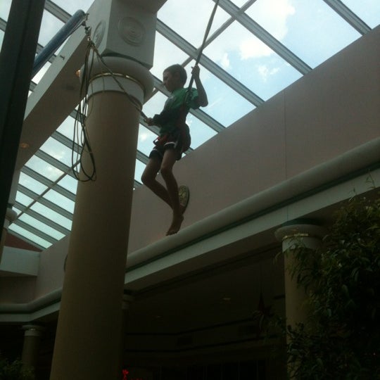 Photos at Mount Berry Square Mall Rome, GA