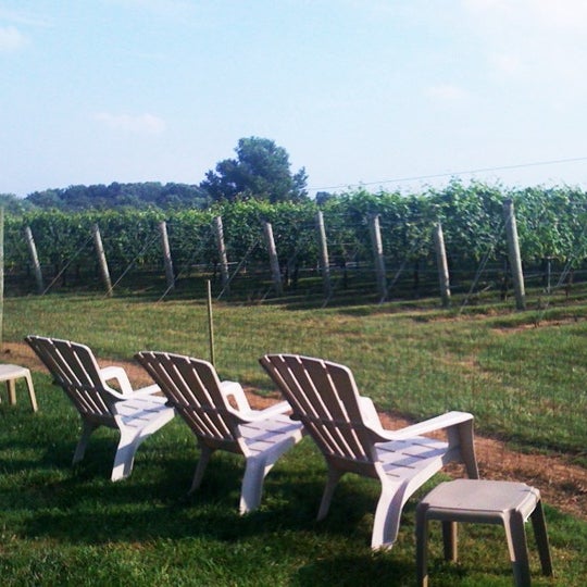 Va La Vineyards 9 tips