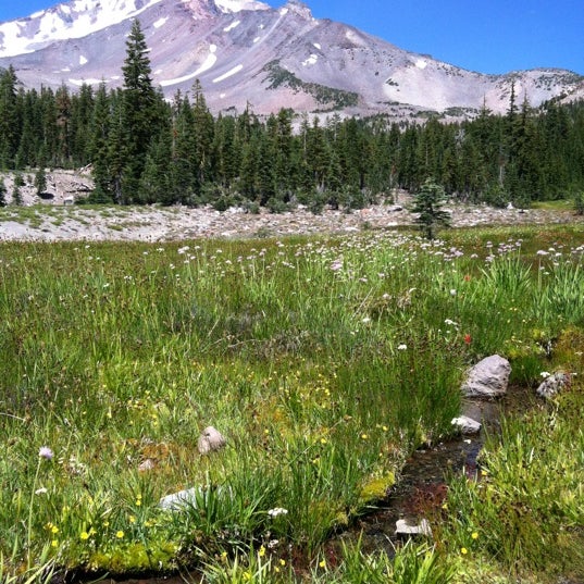 Foto di Panther Meadow Campground