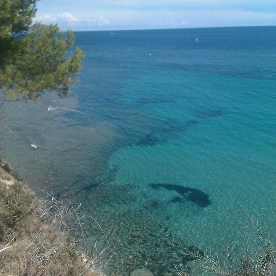 Calalga