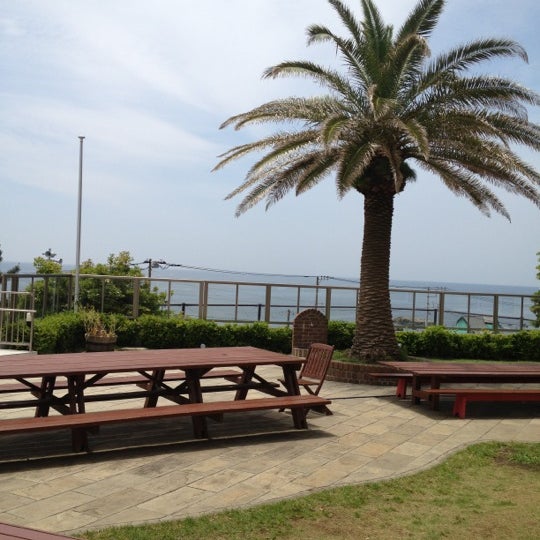 Photos At Hayama International School 葉山インターナショナルスクール 横須賀 28 Visitors