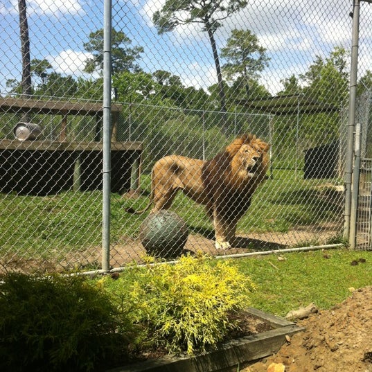 Photo taken at Alabama Gulf Coast Zoo by Tisha L. on 4/20/2012