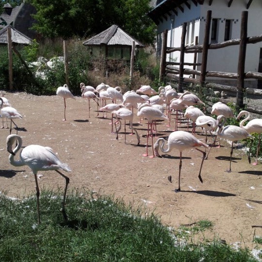Foto diambil di Budapesti Állatkert | Budapest Zoo oleh Kinga S. pada 6/16/2012