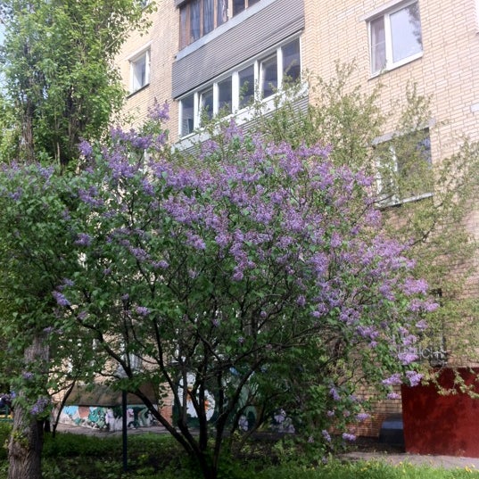 Скорняжный переулок москва