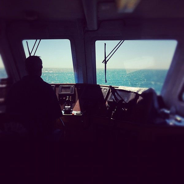 9/2/2012 tarihinde Jethroziyaretçi tarafından Dana Wharf Whale Watching'de çekilen fotoğraf