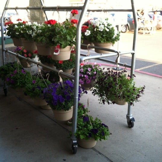 Dillons Flowers Topeka Best Flower Site