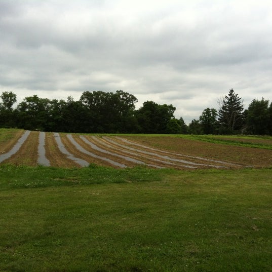 Wigsten Farm 60 Wigsten Rd