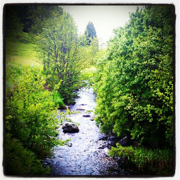 La truite du lignon Clearance