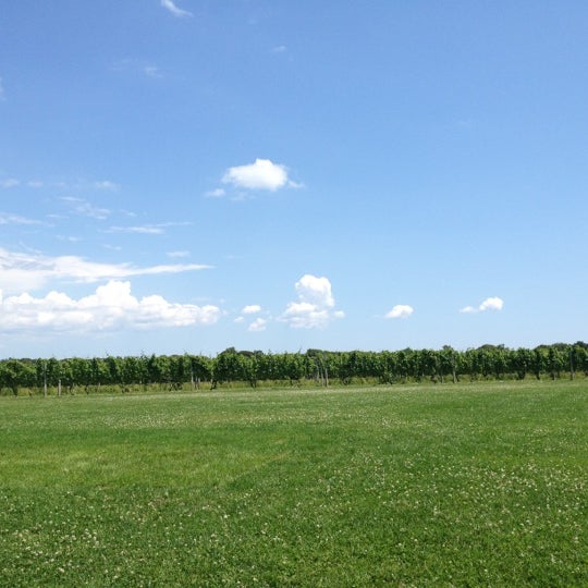 Photo taken at Peconic Bay Winery by Morgan B. on 7/2/2012