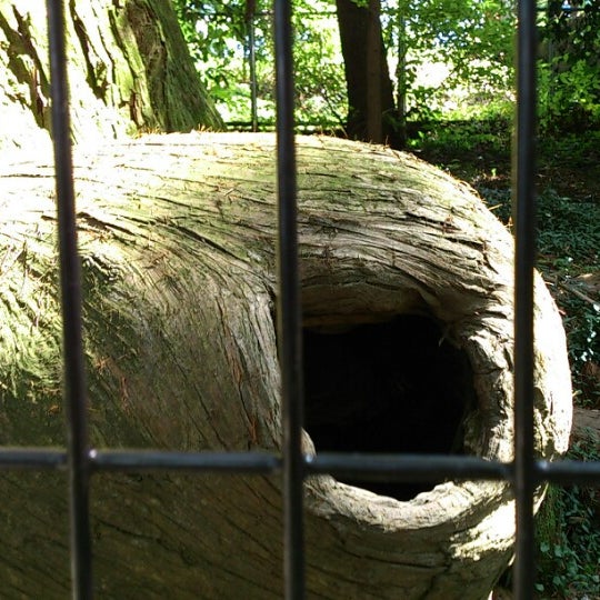 Photos At たこ杉 蛸杉 2 Tips