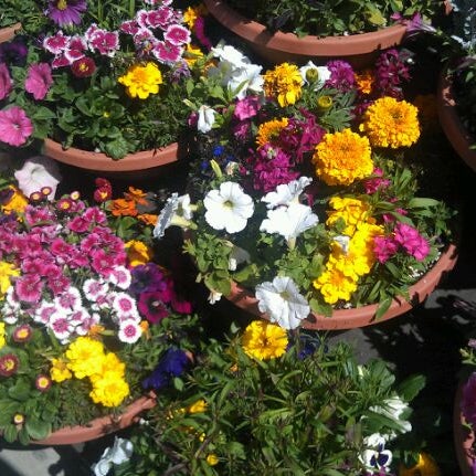 Photo taken at Armstrong Garden Centers by Bob B. on 4/2/2012