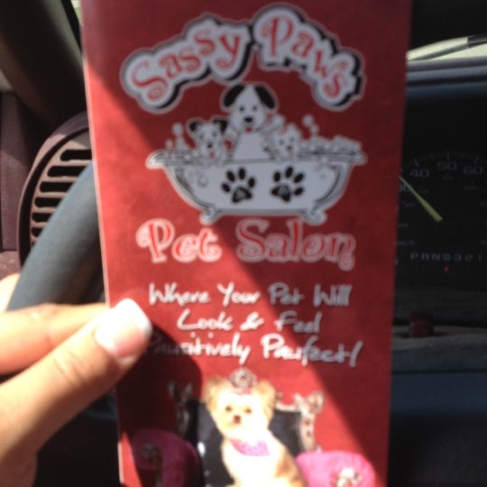 sassy paws pet salon