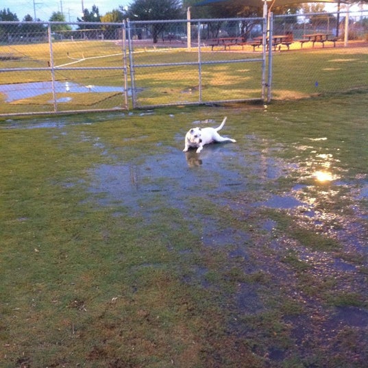Photos at Tempe Sports Complex Dog Park 8401 S Hardy Dr.