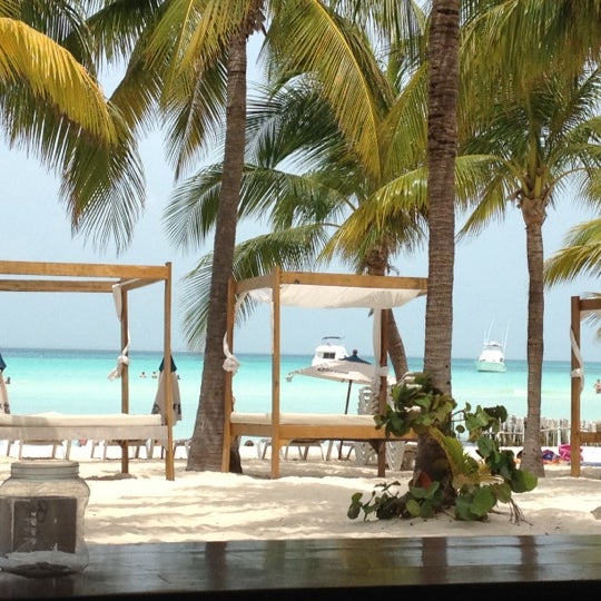 Buho's Swing Bar Cocktail Bar in Isla Mujeres