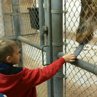 รูปภาพถ่ายที่ Cameron Park Zoo โดย Mike D. เมื่อ 2/11/2012