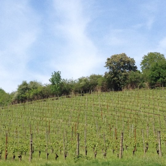 รูปภาพถ่ายที่ REX HILL Vineyards &amp; Winery โดย Marci N. เมื่อ 5/14/2012