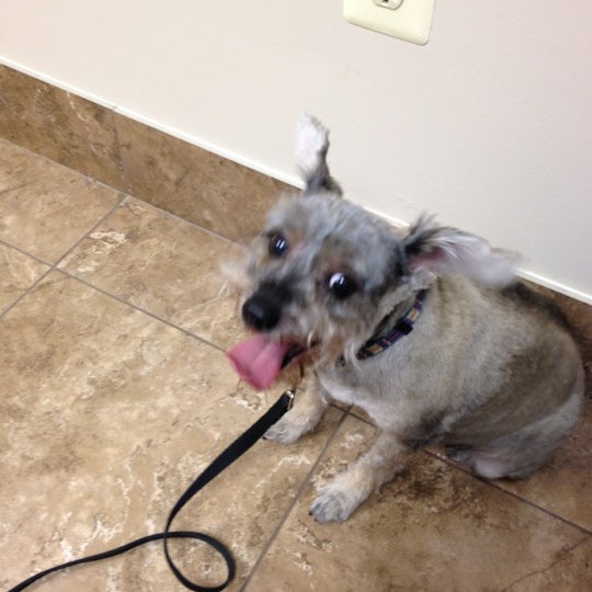 Photos At Noah S Ark Veterinary Boarding Resort Pet Service In