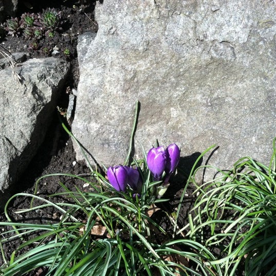 Upper Queen Anne Neighborhood in Seattle