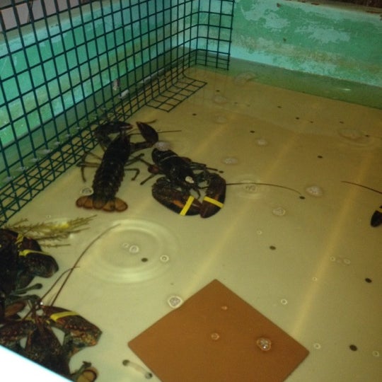 Снимок сделан в Freddy&#39;s Lobster &amp; Clams пользователем Jennifer 7/5/2012