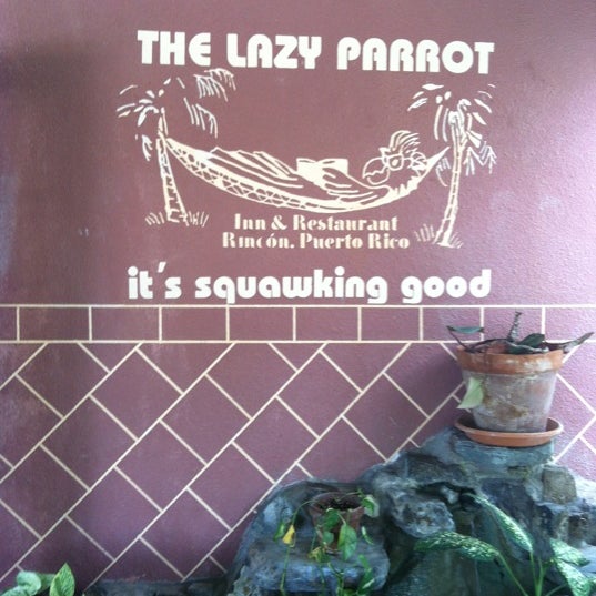 The Lazy Parrot Now Closed Hotel - 