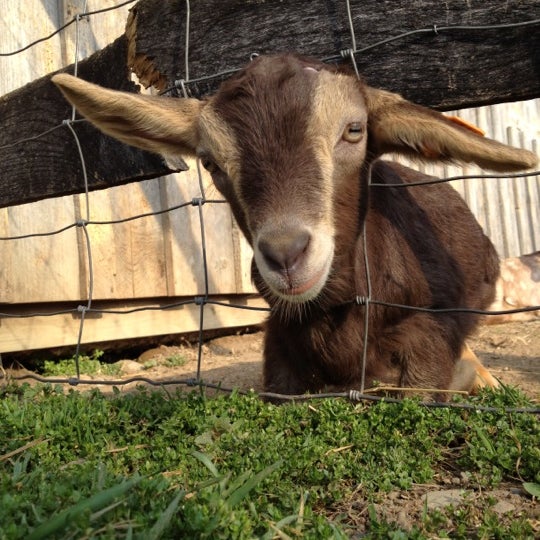 Photo taken at Sprout Creek Farm by Audrey A. on 3/23/2012