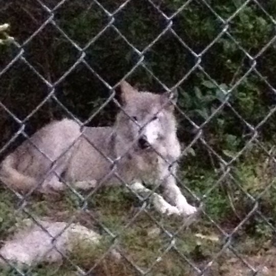 Photo taken at Camp Taylor &amp; Lakota Wolf Preserve by Sherry C. on 7/22/2012