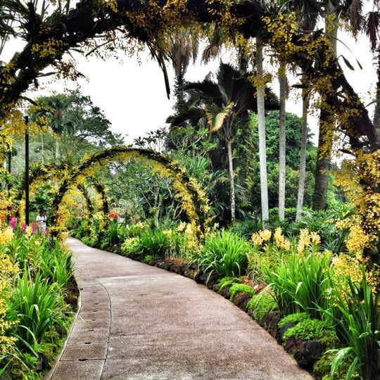 Wonder garden. Wonder garden