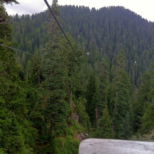 8/20/2012 tarihinde Melindaziyaretçi tarafından Grouse Mountain Ziplines'de çekilen fotoğraf