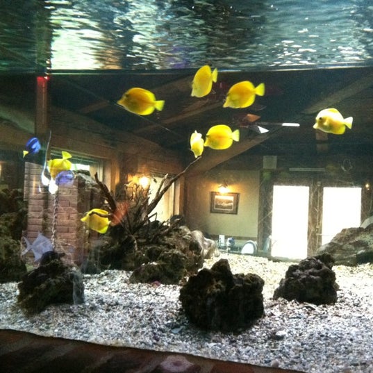 Photo taken at Fish House Vera Cruz by Heather H. on 4/23/2012