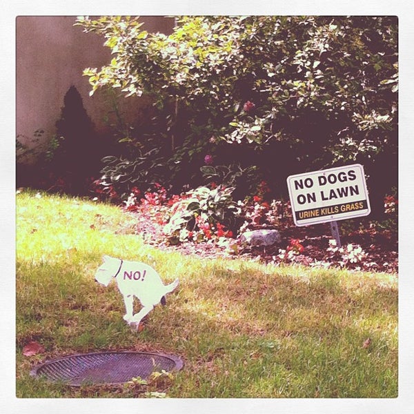Photos at Strebel's Hand Car Wash 644 Montauk Hwy