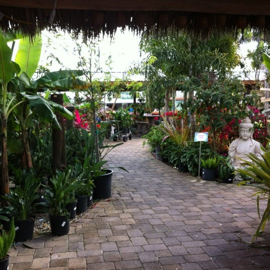flamingo road nursery events flamingo road nursery events