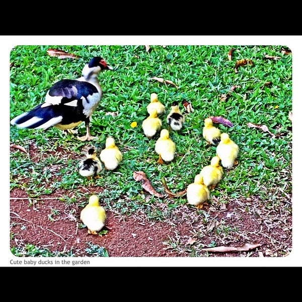 Foto diambil di Honua Lani Gardens Kauai oleh Jai R. pada 8/23/2012