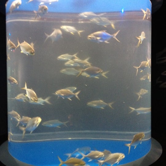 Foto tirada no(a) Texas State Aquarium por Evan L. em 9/3/2012