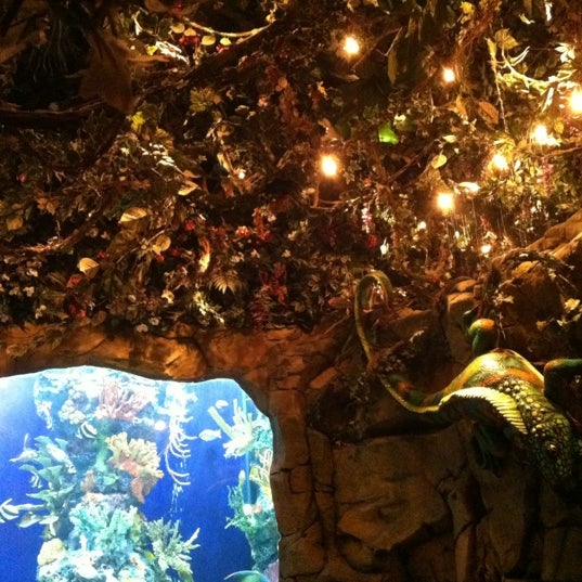 Rainforest Cafe (Now Closed) The Anaheim Resort 126 tips